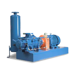 VectraPak Liquid Ring Vacuum Pumps