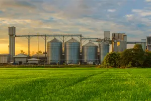 Alimentos e bebidas